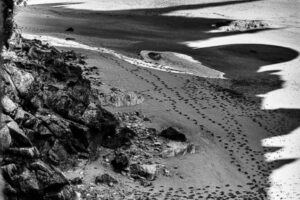 LE MONT SAINT MICHEL - L.Boukouvala - 03