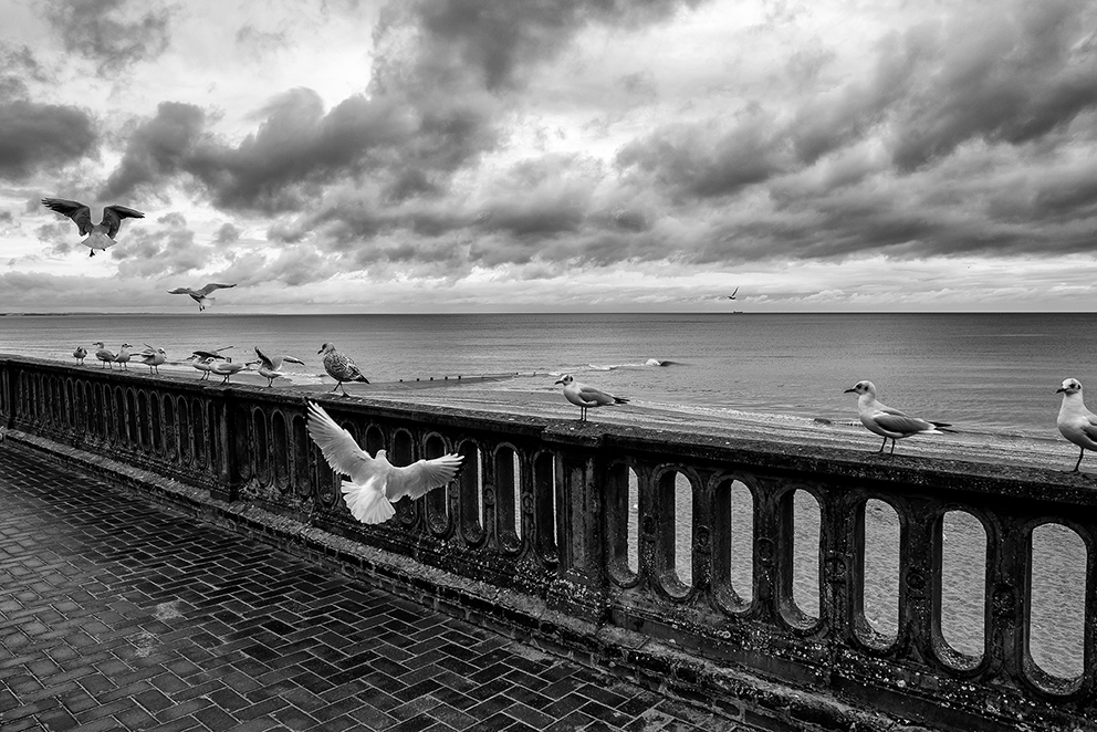 Les Oiseaux à Cabourg_L.Boukouvala_1